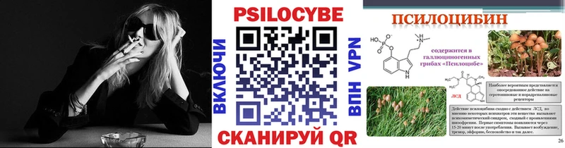 Купить закладки  Мичуринск  Галлюциногенные грибы мухоморы 